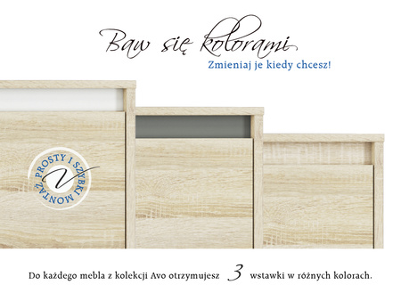 Szafa ubraniowa trzydrzwiowa uchylna AVO 01