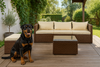 Zestaw wypoczynkowy mebli ogrodowych sofa z pufa i stolikiem 